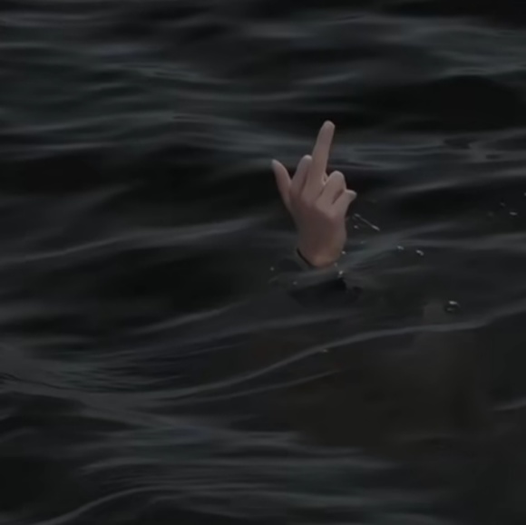 Meet your Posher, Ava - Picture 1 of 1